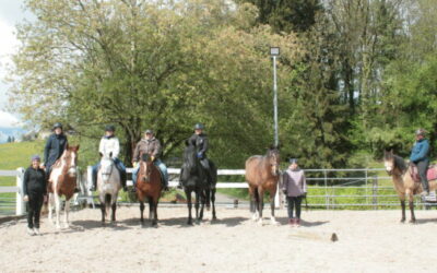 Intensivwoche Akademische Reitkunst 16.-20. April 2024: Ein Erfahrungsbericht