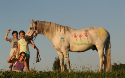 Noch wenige Plätze frei in unseren Sommerreitlagern 2026!
