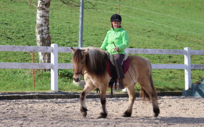 Rückblick Trainingstag Akademische Reitkunst am 30.03.202